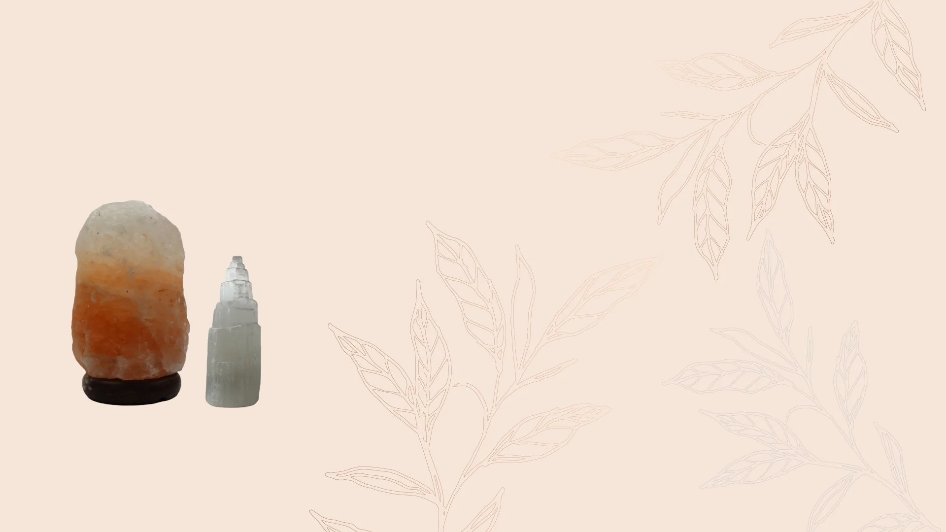 Salt & Selenite