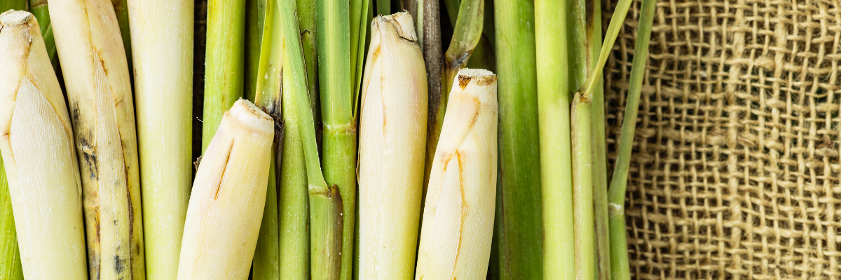 Scent Story Lemongrass