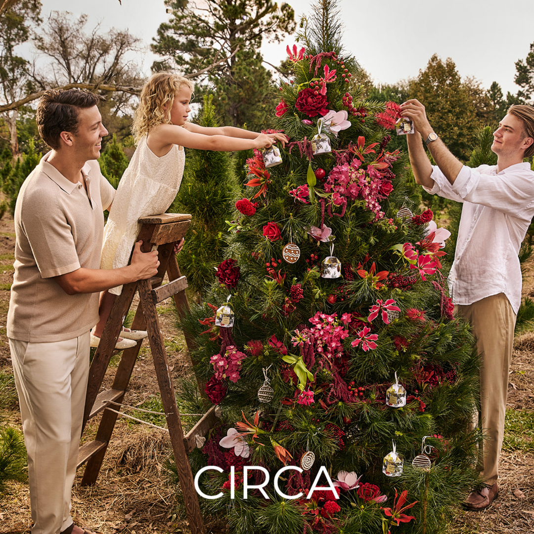 White Fig & Cedar Tree Scent Stems™ | Circa