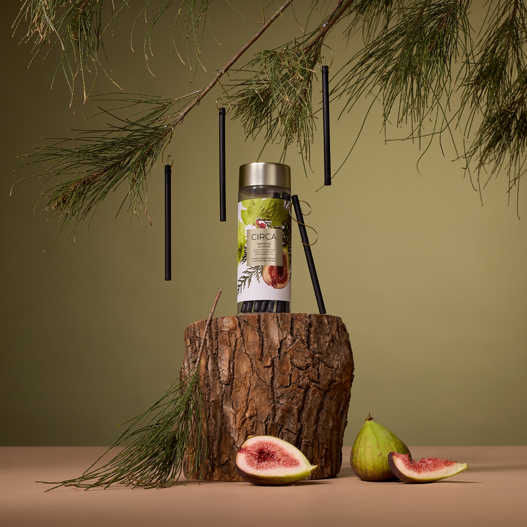 White Fig & Cedar Tree Scent Stems™ | Circa