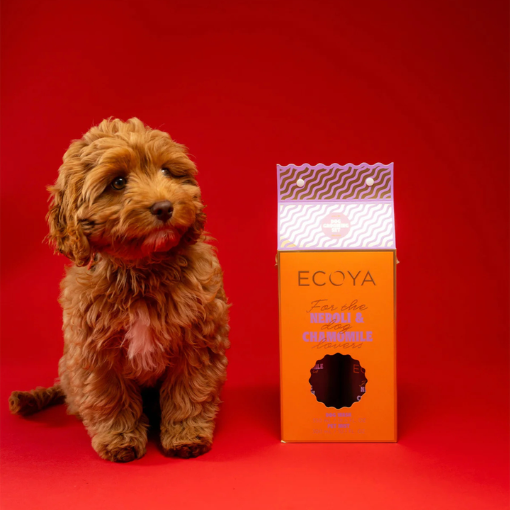 Holiday: Dog Grooming Gift Set | ECOYA