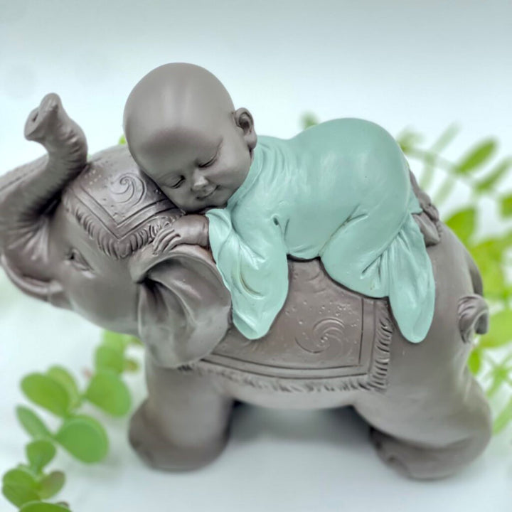 Baby Monk on Elephant | Earth Saltz