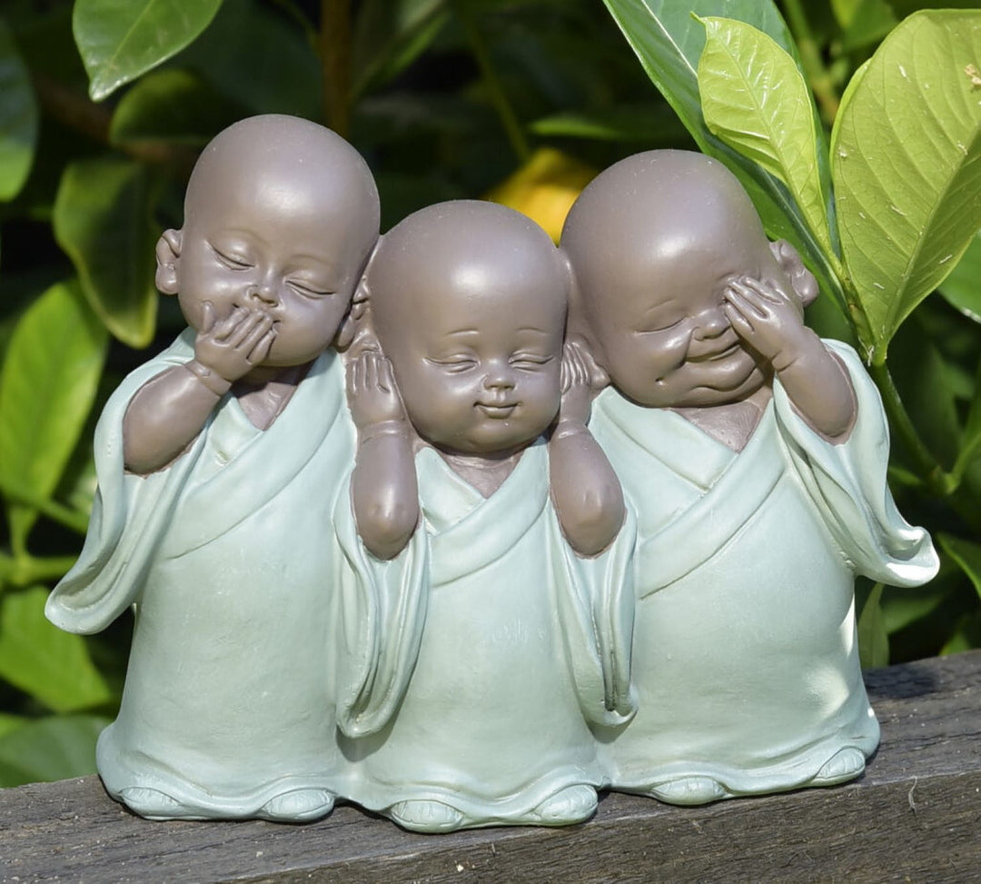 See No, Speak No, Hear No ... Baby Monks | Earth Saltz