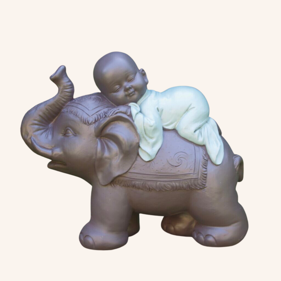 Baby Monk on Elephant | Earth Saltz