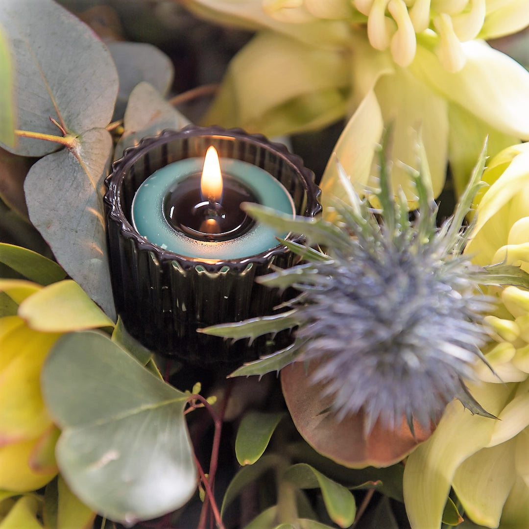 Christmas Pine Needle and Sage Tealights | Elume