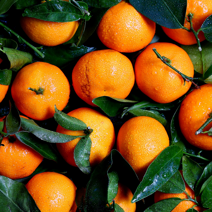 Boutique Soy Candle - Orange Citrus Pop| Elume