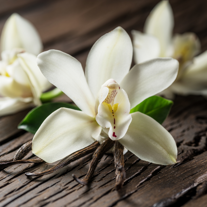 Boutique Soy Candle - White Oak & Orchid| Elume