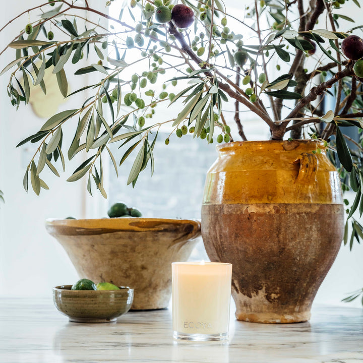 French Pear Madison Candle | Ecoya