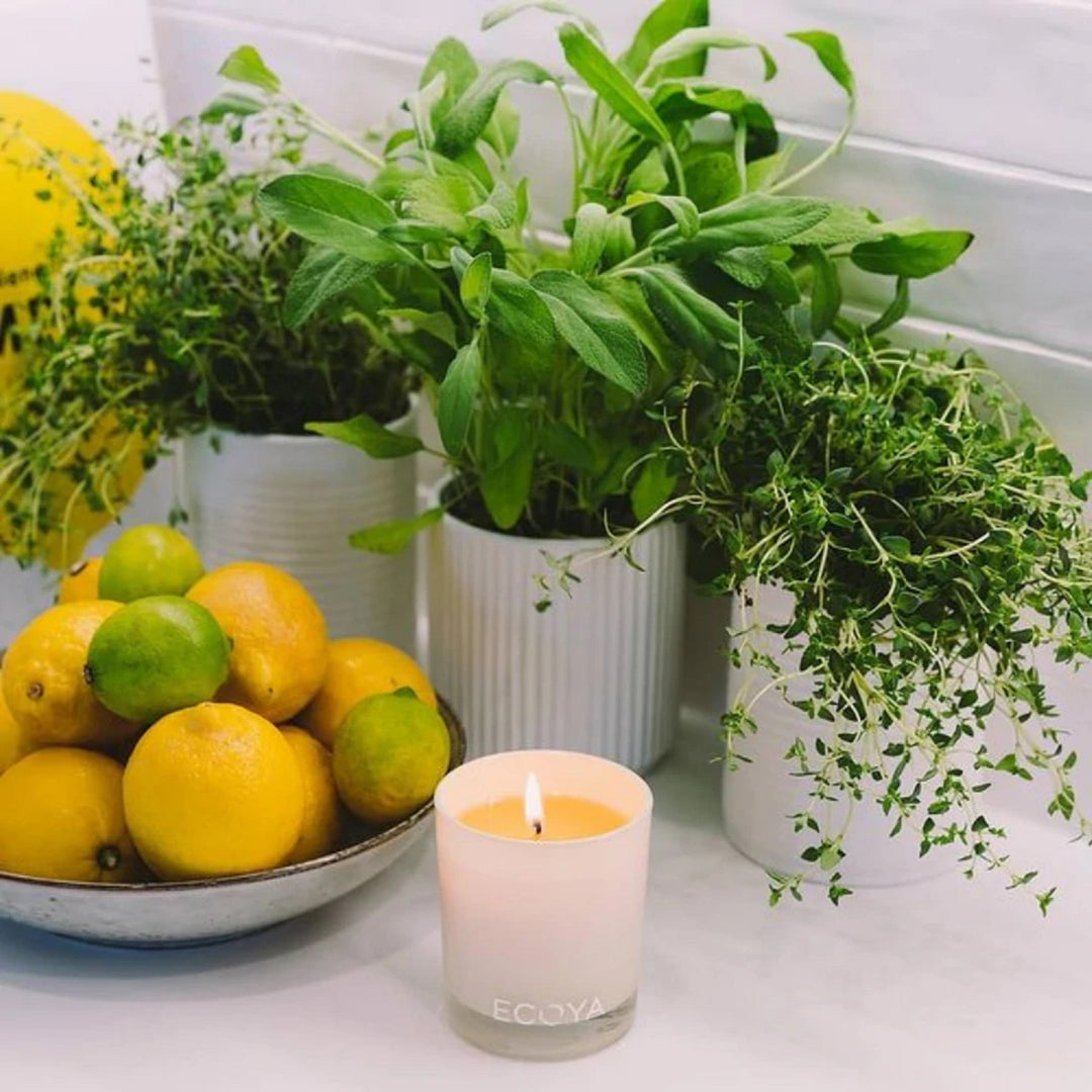 Tahitian Lime & Grapefruit Maisy Jar Candle | Ecoya
